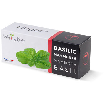 

Véritable Lingot Bazalka mamutí