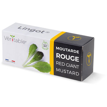 

Véritable Lingot Červená listová hořčice - BIO
