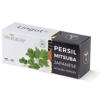 

Véritable Lingot Japonská petržel Mitsuba