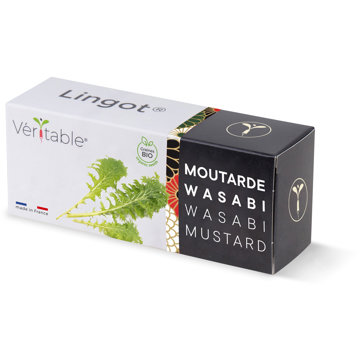 

Véritable Lingot Wasabi hořčice listová - BIO