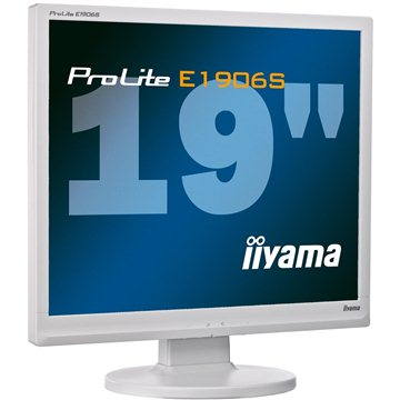 iiyama prolite 19