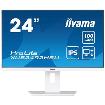 

23,8" iiyama ProLite XUB2492HSU-W6
