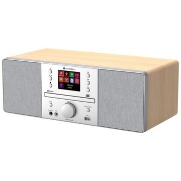 

GoGEN IR 267 BT DAB