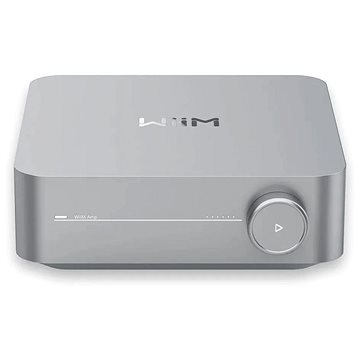 

WiiM Amp - Silver
