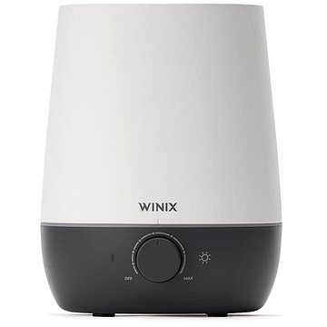 

Winix L61