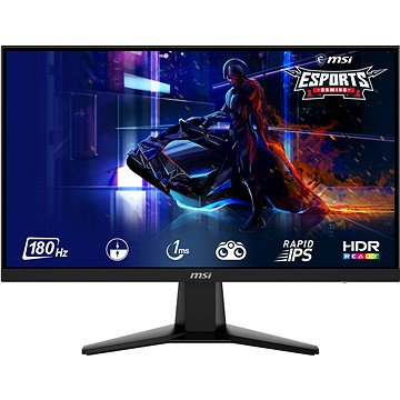 

24.5" MSI MAG 256F