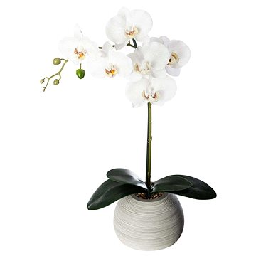 

ATMOSPHERA Orchidee Real Touch Cim H.53