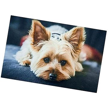 

Excellent Protiskluzová podložka Dog - Jorkšírský teriér 40 × 60 cm