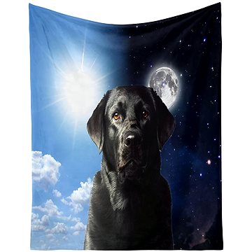 

Excellent Mikroplyšová hřejivá deka 150 × 200 cm Labrador/Den a noc