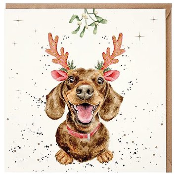 Wrendale Designs Vánoční jezevčík