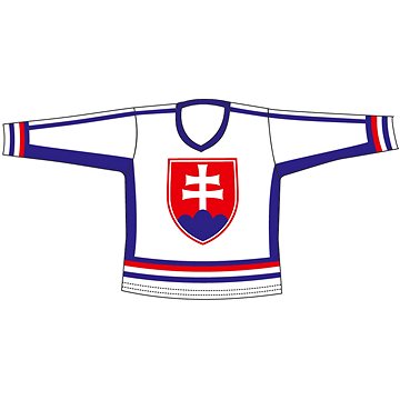 

SPORTTEAM® hokejový,SR 6 L