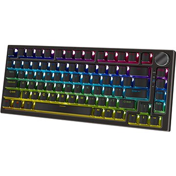 

YENKEE YKB 30 ODYSSEY Hotswap - US/US INTL