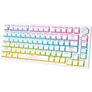 

YENKEE YKB 31 ODYSSEY Hotswap - US/US INTL