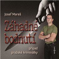Záhadné bodnutí - Audiokniha MP3
