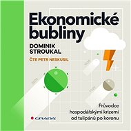 Ekonomické bubliny - Audiokniha MP3