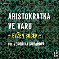 Aristokratka ve varu - Audiokniha MP3