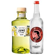 June Gin Peach 0,7l 37,5% + Thomas Henry Ginger Beer 0,7l - Gin