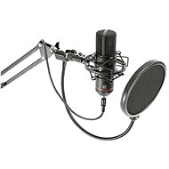 BST STM300PLUS - Mikrofon
