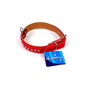 Petproducts Dog collar red 50 × 2,5 cm - Dog Collar