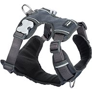 Red Dingo Padded Harness, Grey - Harness