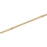MEISTER Bambusová tyč Tonkin, 14-16 mm, 1800 mm, 1 ks - Příslušenství pro pěstování