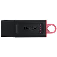 Kingston DataTraveler Exodia 256GB - Flash disk