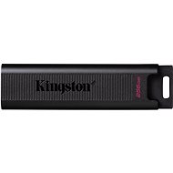 Kingston DataTraveler Max 256GB - Flash disk