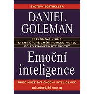 Emoční inteligence - Elektronická kniha