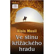 Ve stínu křižáckého hradu - Elektronická kniha