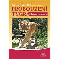 Probouzení tygra - Elektronická kniha
