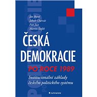 Česká demokracie po roce 1989 - Elektronická kniha