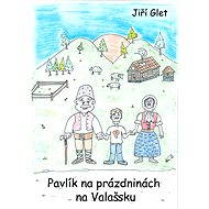 Pavlík na prázdninách na Valašsku - Elektronická kniha