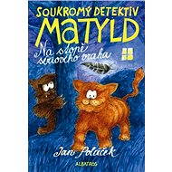 Soukromý detektiv Matyld - Elektronická kniha
