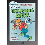 Ukradená data - Elektronická kniha