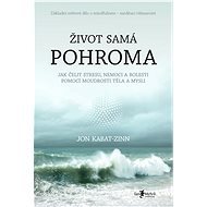 Život samá pohroma - Elektronická kniha