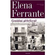 Geniální přítelkyně - Elektronická kniha