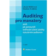 Auditing pro manažery aneb jak porozumět ověřování účetní závěrky statutárním auditorem - 3. vydání - Elektronická kniha