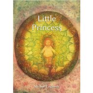 The Little Princess - Elektronická kniha