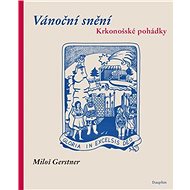 Vánoční snění - Elektronická kniha