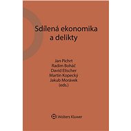 Sdílená ekonomika a delikty - Elektronická kniha