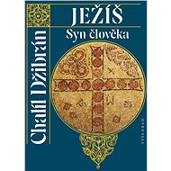 Ježíš Syn člověka - Elektronická kniha