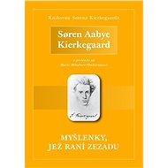 Myšlenky, jež raní zezadu - Elektronická kniha