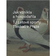Jak vznikla a hospodařila TJ Letové sporty Tleskač v Praze - Elektronická kniha