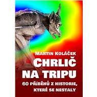 Chrlič na tripu - Bc. Martin Koláček, 179 stran