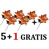 Vánoční ozdoby EverGreen set® Poinsetia gl. květ p.25, v.65cm, Sada 5+1 Gratis