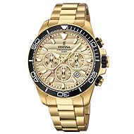 FESTINA Prestige 20364/1 - Pánské hodinky