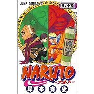 Naruto 15 Narutův styl - Kniha