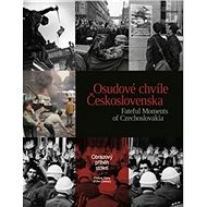 Osudové okamžiky Československa: obrazový příbeh století - Kniha