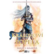 Království popela - Kniha