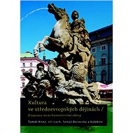Kultura ve středoevropských dějinách: Rozprava mezi humanitními obory - Kniha